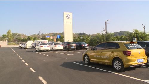 墊江首家現(xiàn)代標準化汽車銷售服務中心投入使用